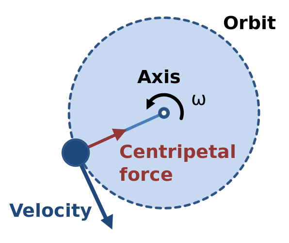  A body experiencing uniform circular motion requires a centripetal force, towards the axis as shown, to maintain its circular path. 